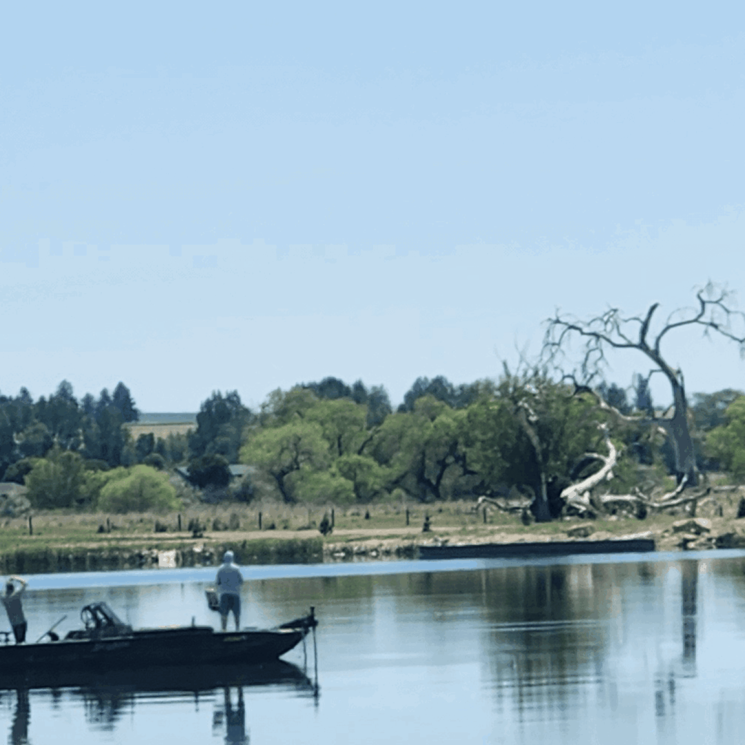 Colorado Hunting Guide