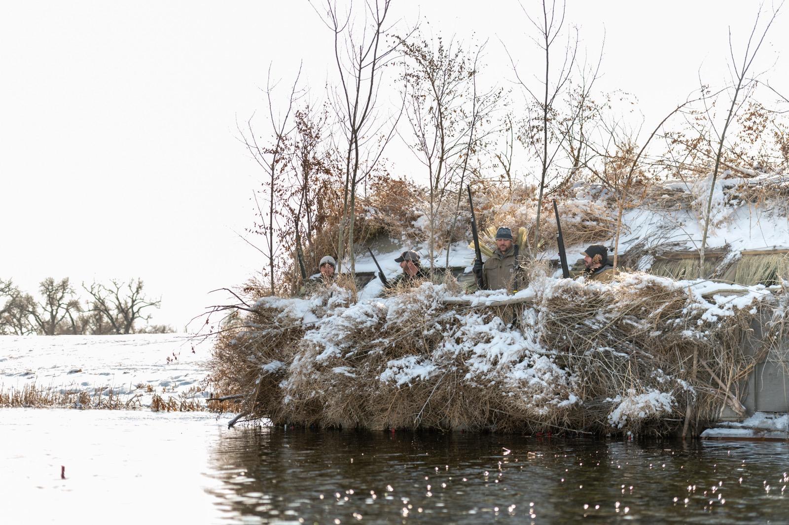 Waterfowl Season Colorado