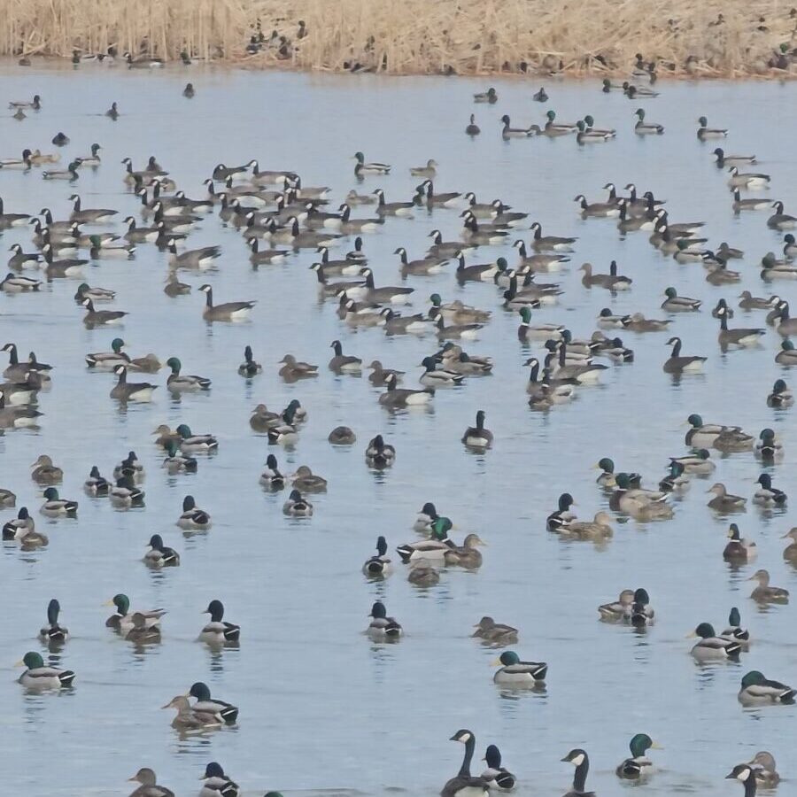 Dustin Christensen-Guide/ Owner