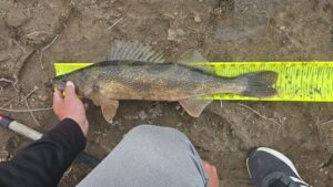 catching big fish catching big fish