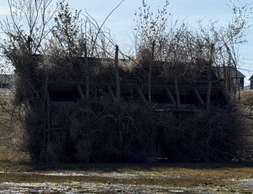 Inside the Big Thompson Outfitters Blinds & Freeze-Proof Strategy