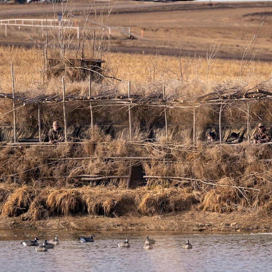 Dustin Christensen-Guide/ Owner